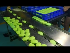 เครื่องบรรจุหมอนอัตโนมัติความถี่สองแบบ สําหรับเบสกิ๊กคุกกี้จันทร์เค้ก